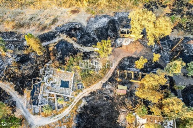 Лесной пожар обнажил затерянную библейскую деревню Вифсаиду на берегу Галилейского моря