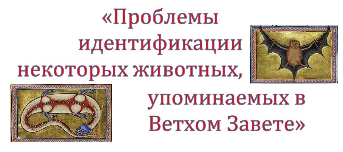 Заголовок.jpg Заголовок.jpg
