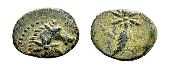 Анонимный бронзовый халк Митридата IV Евпатора Диониса.jpg