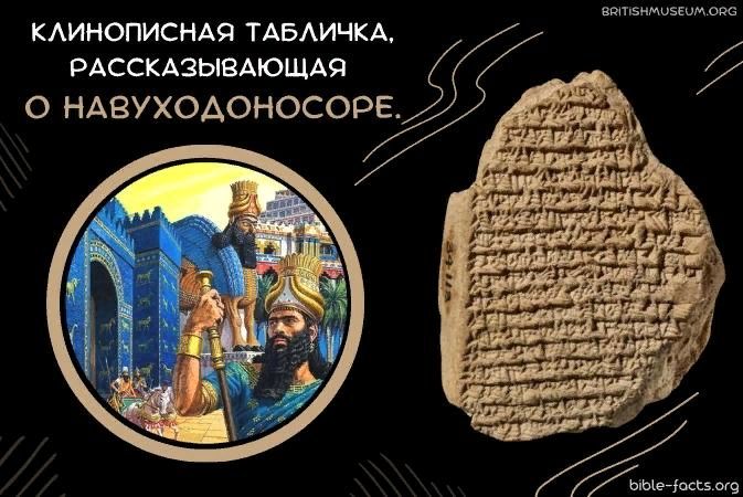 Клинописная табличка о Навохудоносоре.jpg Клинописная табличка о Навохудоносоре.jpg