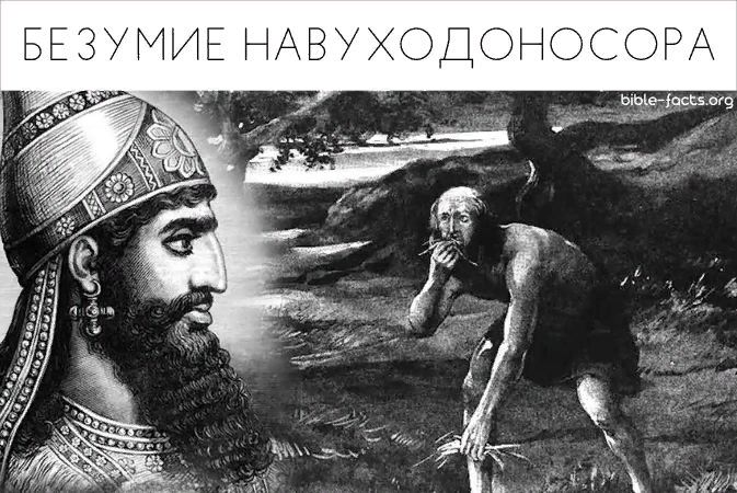 Безумие Навуходоносора.jpg Безумие Навуходоносора.jpg