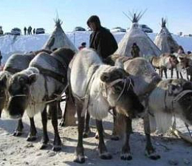 Обращение к друзьям РБО по поводу Ветхого Завета на якутском языке